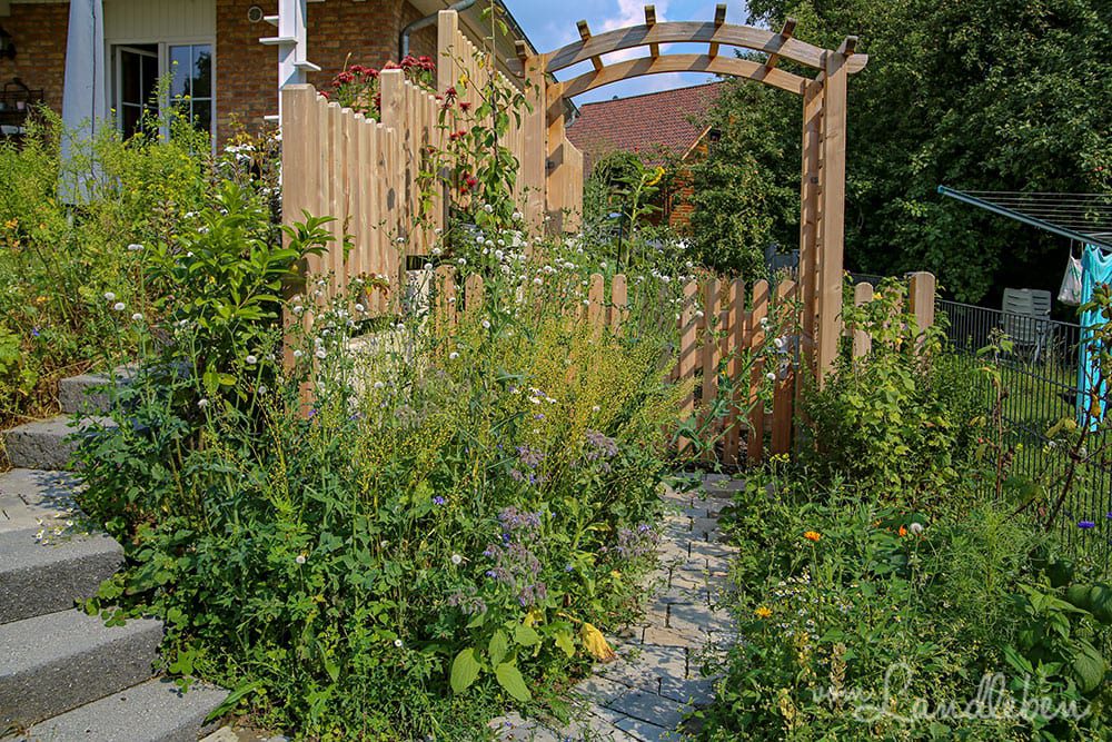 Wildblumenmischung an der Treppe