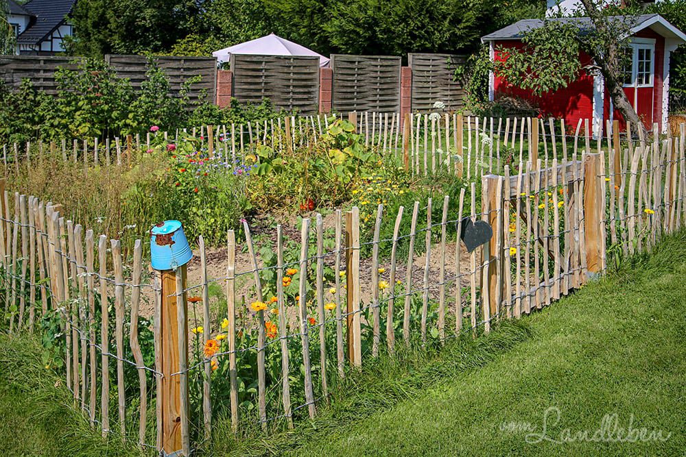 Im Bauerngarten - August 2019