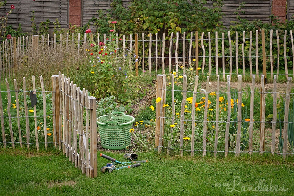 Bauerngarten im September 2019