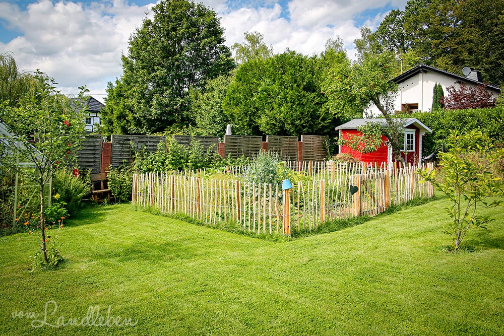 Unser Garten im August 2019
