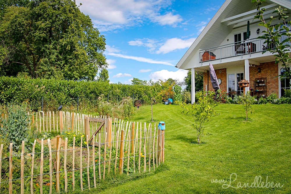 Unser Garten im August 2019