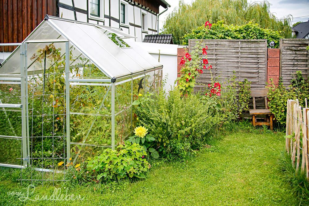 Unser Garten im August 2019