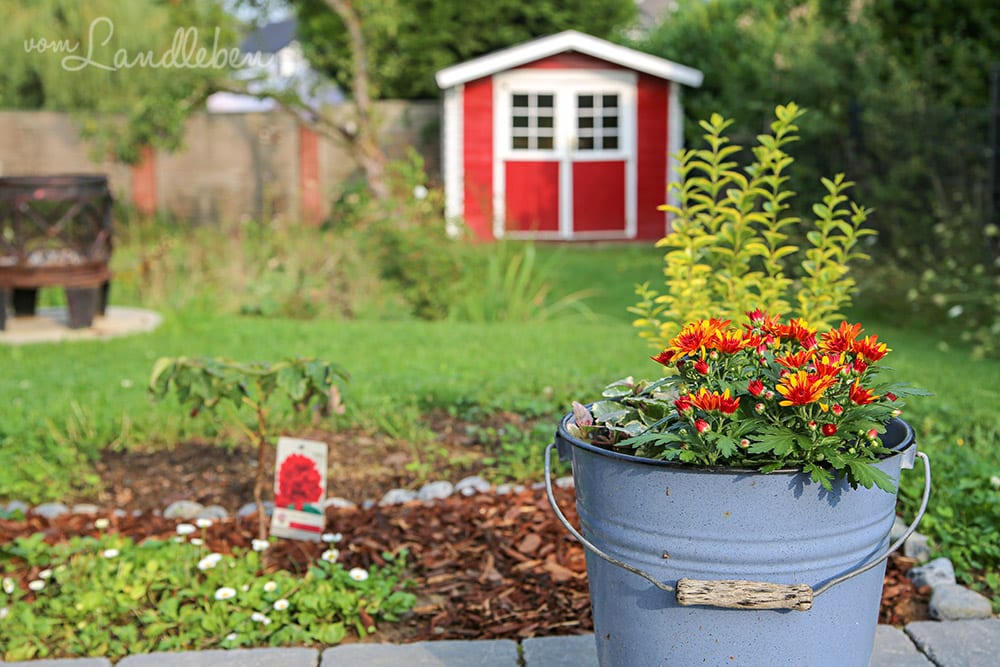Unser Garten im August 2019