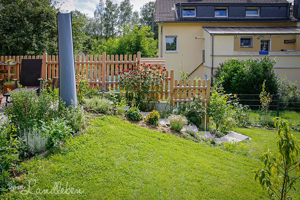 Unser Garten im August 2019