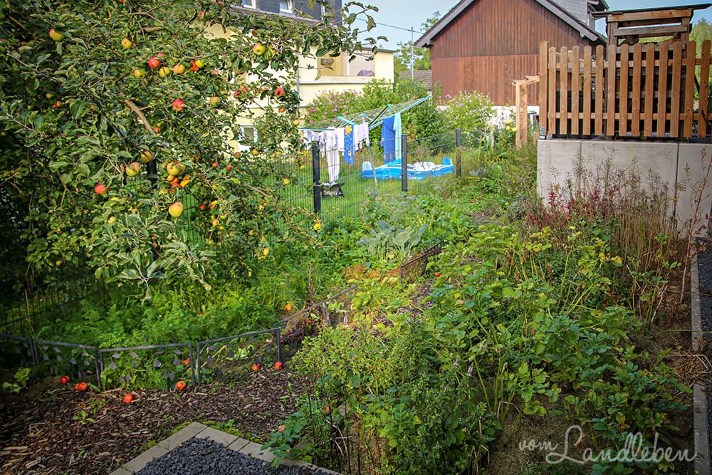 Gemüsegarten im August 2019