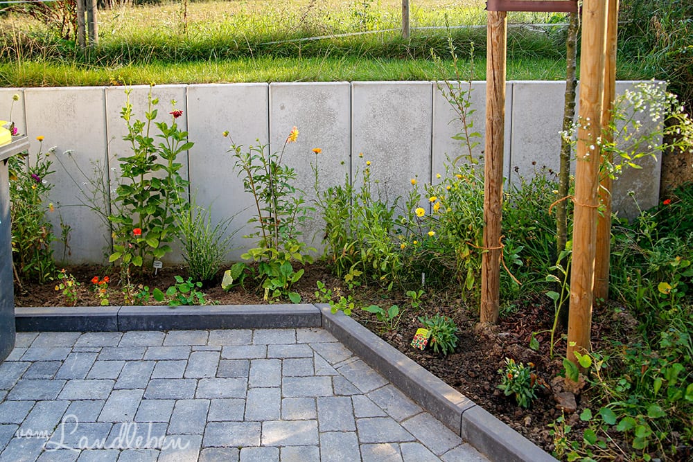 Heckengarten im August 2019