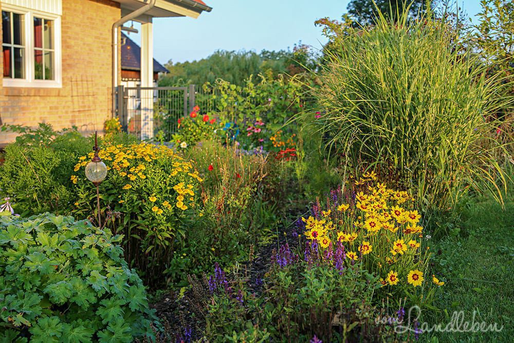 Mittelgarten im August 2019