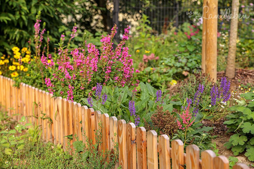 Vorgarten im August 2019