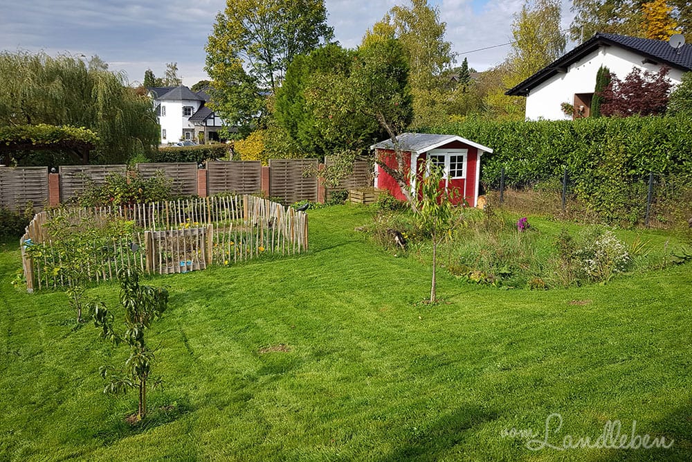 Hinten im Garten - Oktober 2019