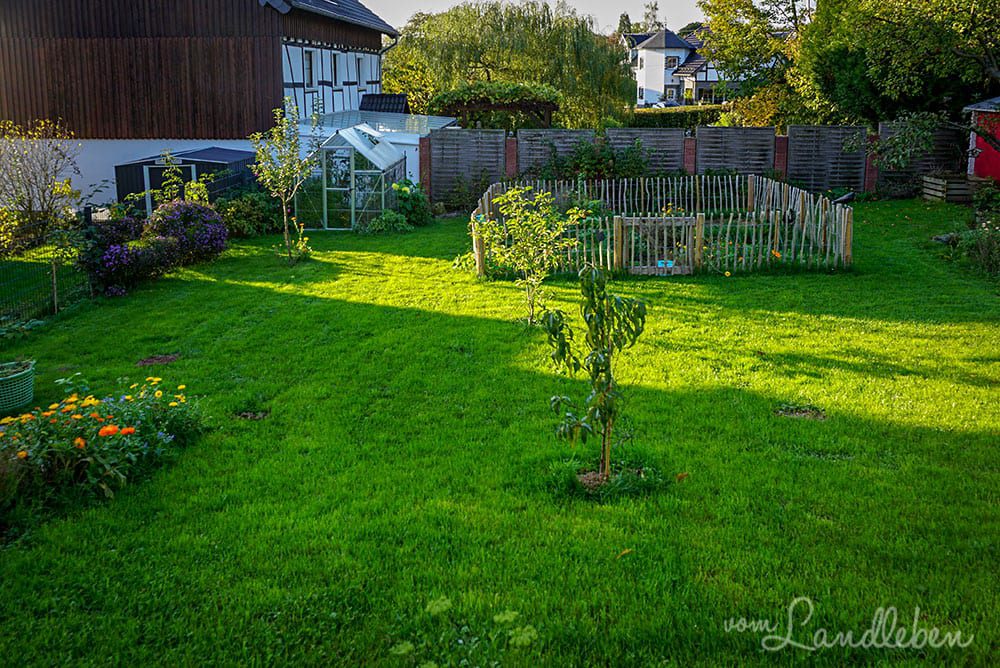 Hinten im Garten - Oktober 2019