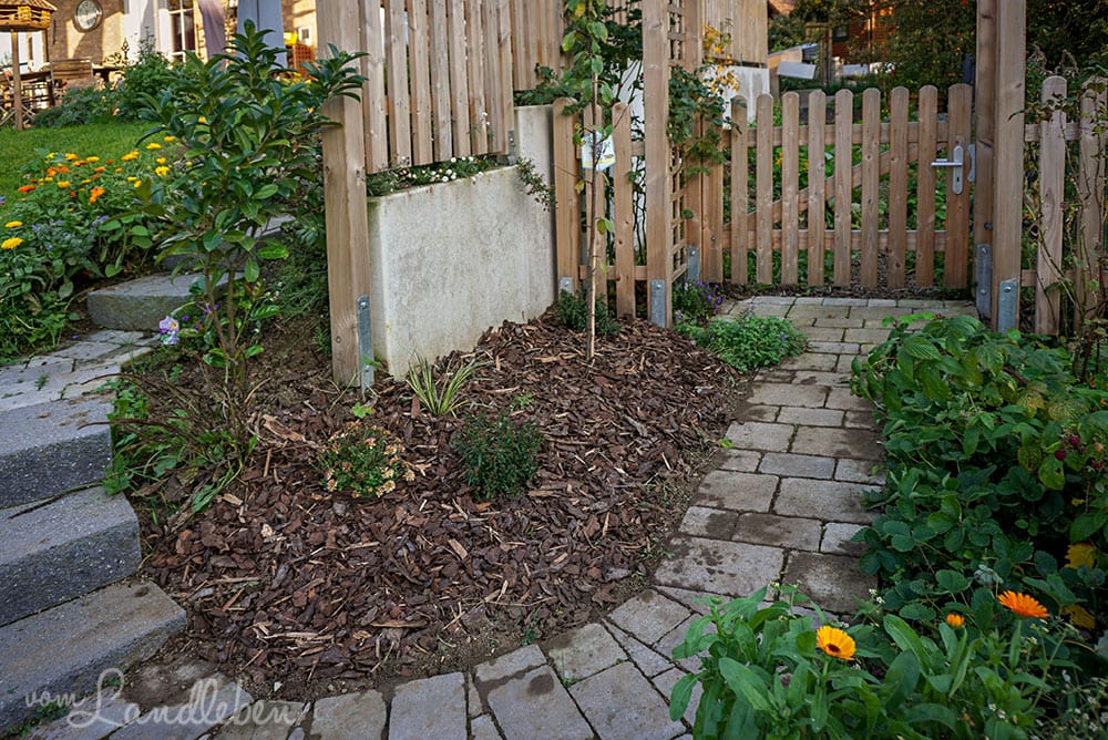 Hinten im Garten - Oktober 2019