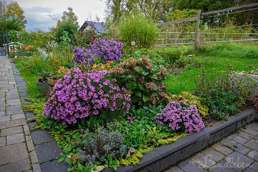 Mittelgarten im Oktober 2019