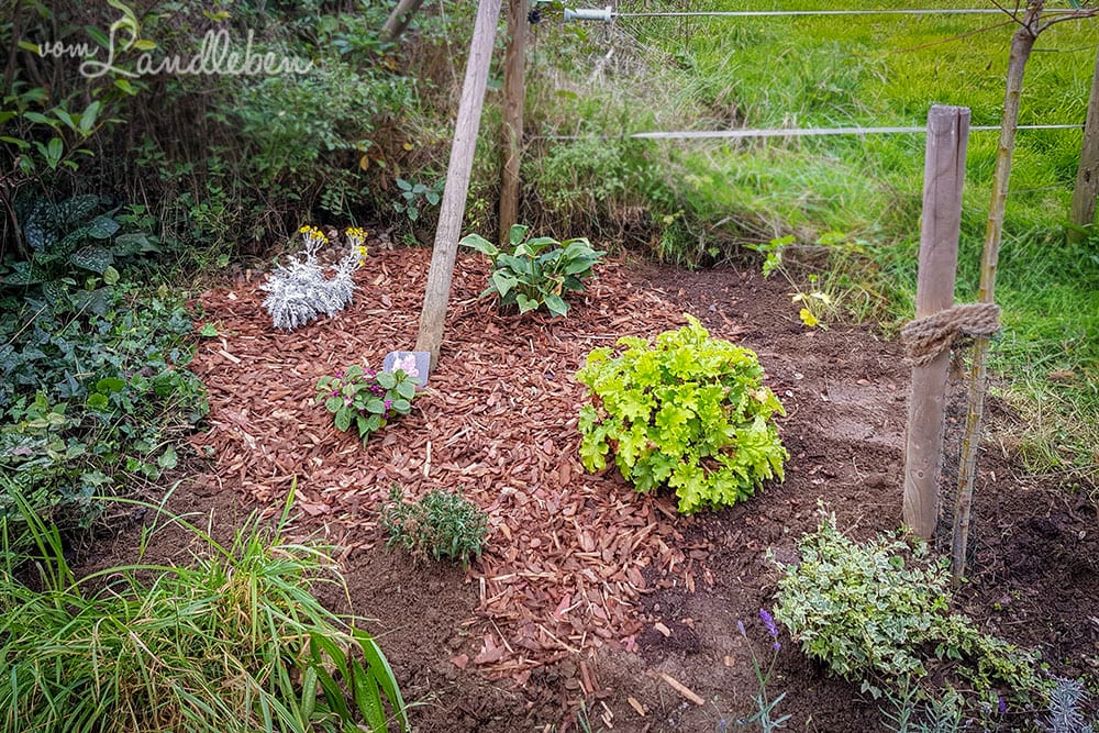 Mittelgarten im Oktober 2019