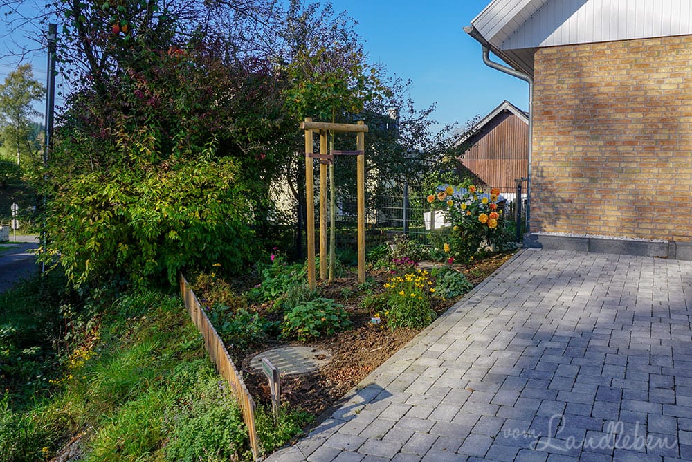 Vorgarten im Oktober 2019