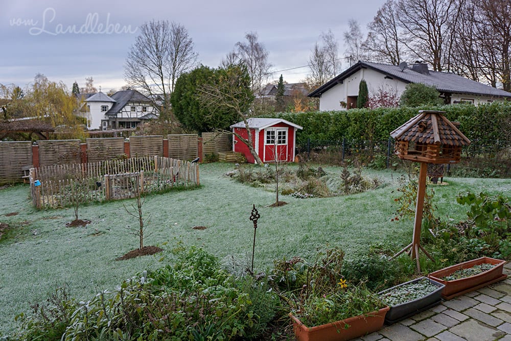 Unser Garten im November 2019