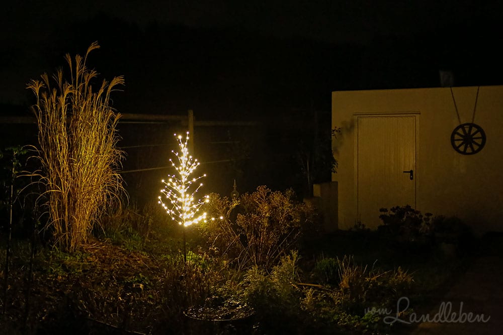 Mittelgarten im Dezember 2019