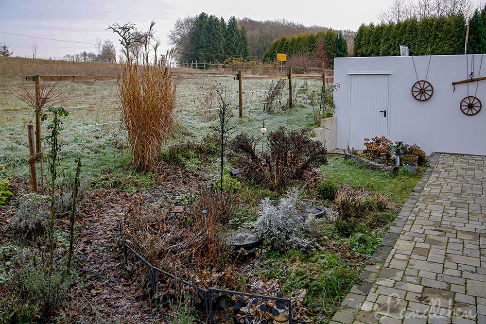 Mittelgarten im Dezember 2019