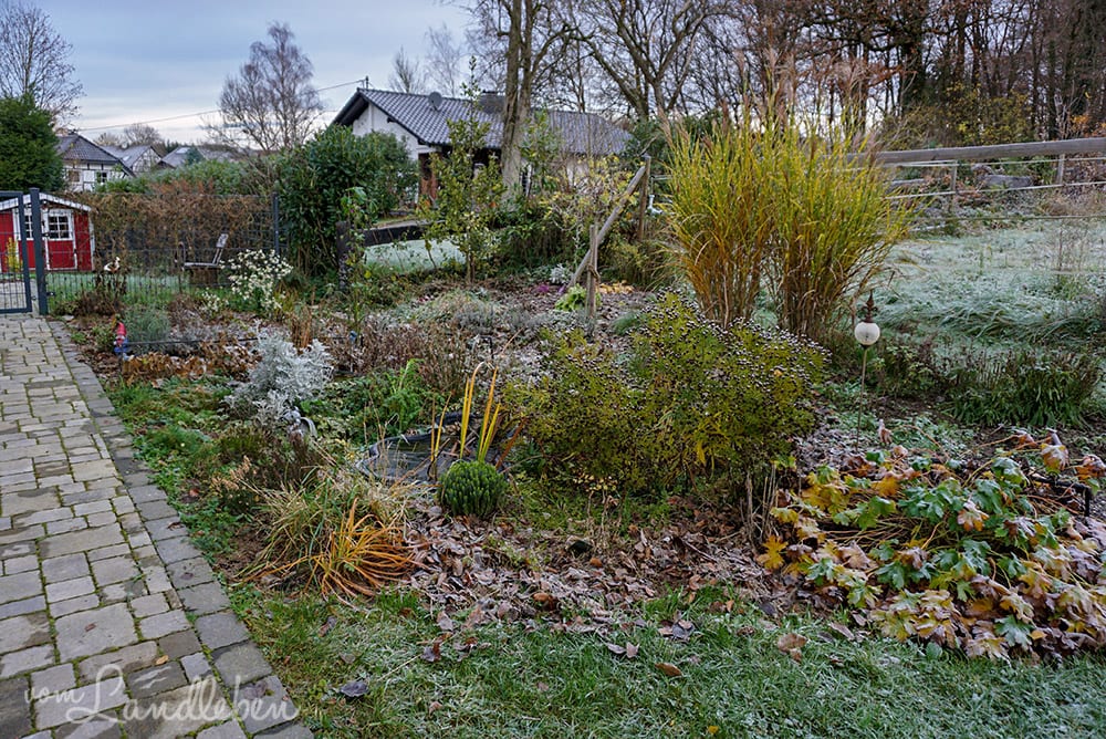 Mittelgarten im November 2019