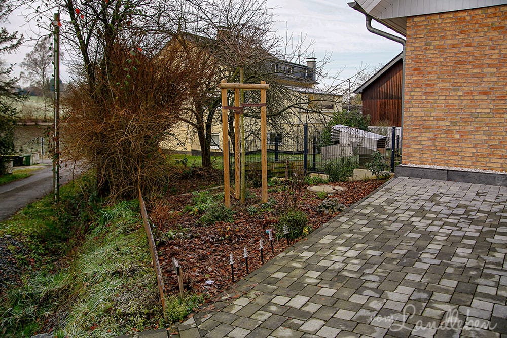 Unser Vorgarten im Dezember 2019