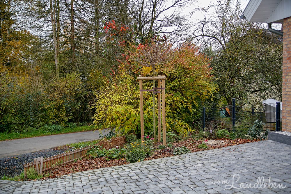 Vorgarten im November 2019