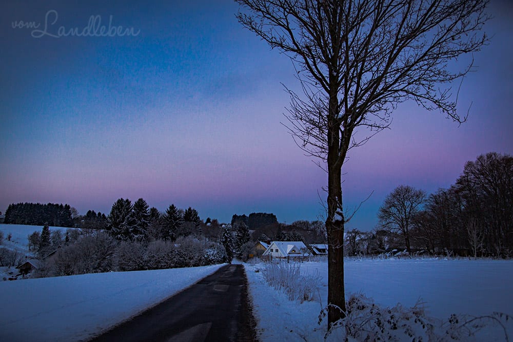 Unser Danhaus im Januar 2017
