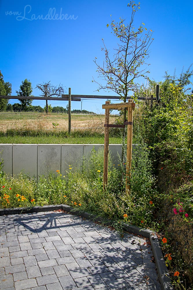 Heckengarten im Juli 2019