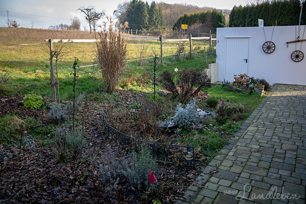 Mittelgarten im Januar 2020