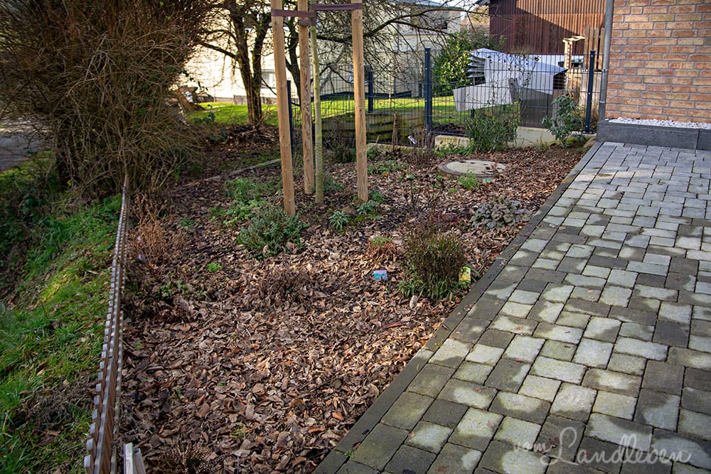 Vorgarten im Januar 2020