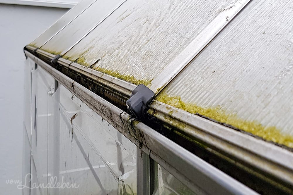 Regenrinne vom Gewächshaus putzen