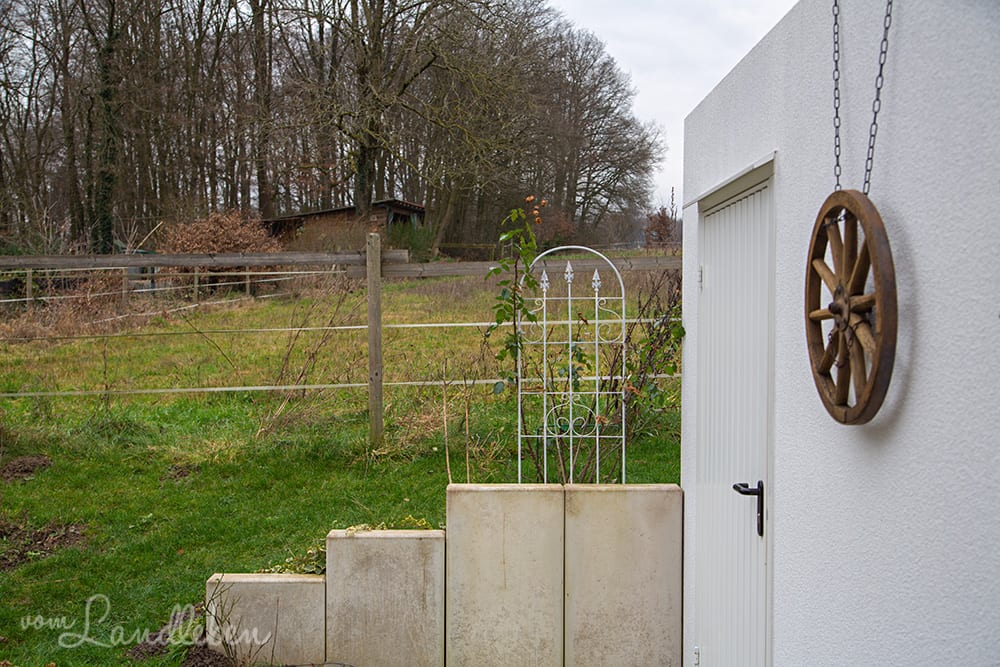 Rankgitter für die Rose - Februar 2020