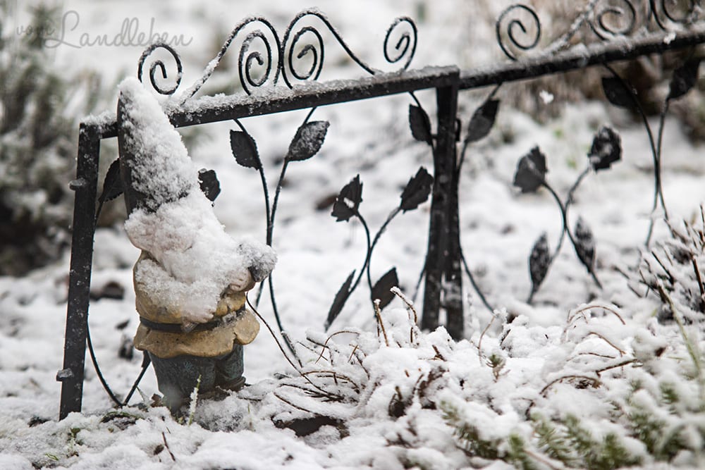 Schnee im Februar 2020