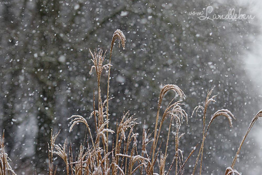 Schnee im Februar 2020