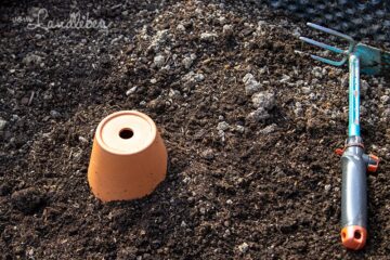 Ollas selber bauen - clevere Gartenbewässerung