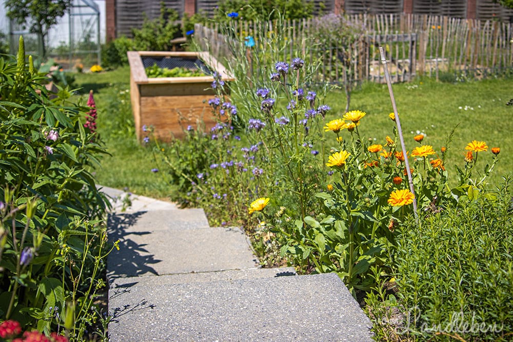 Unser Garten im Mai 2020