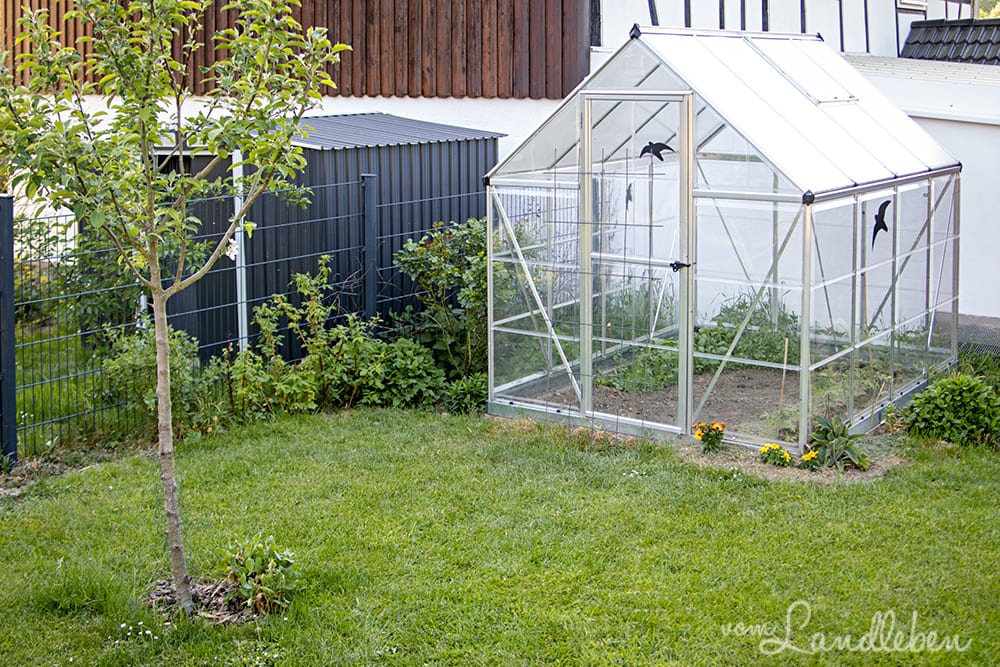 Gewächshaus im April 2020