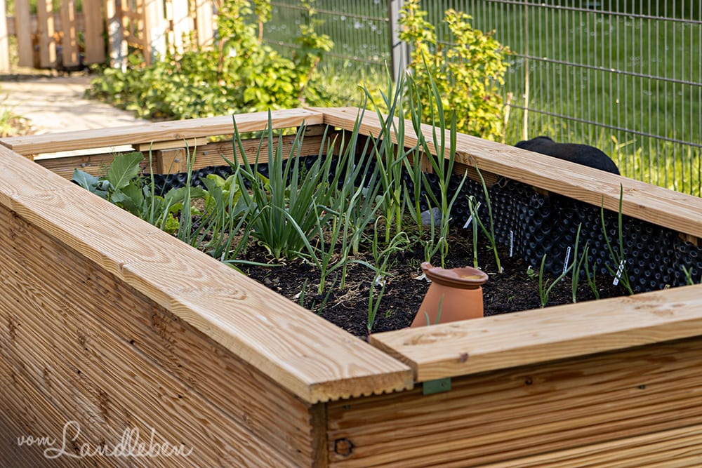 Hochbeet im April 2020