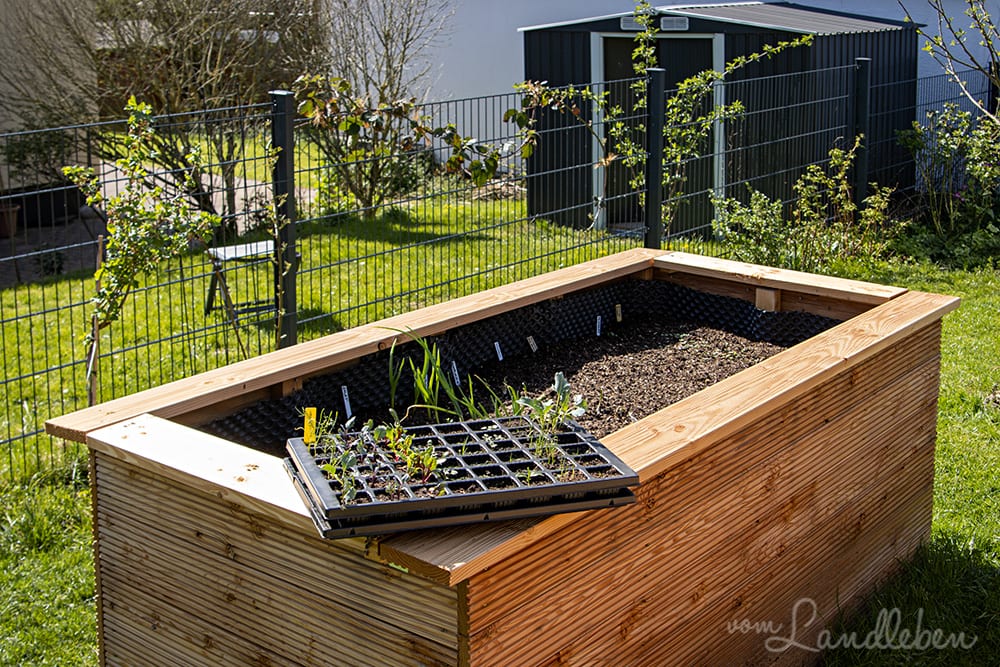 Hochbeet bepflanzen im April 2020