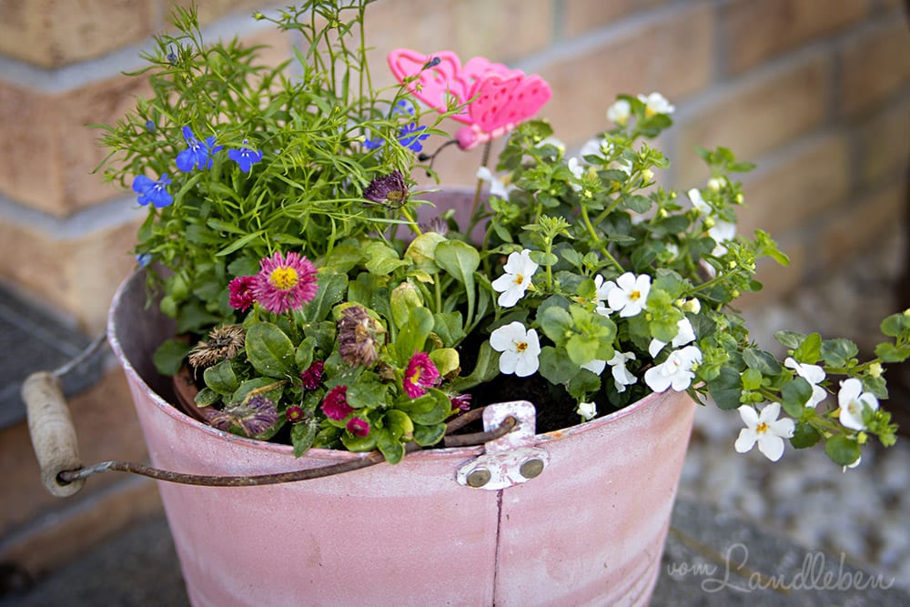 Mittelgarten im Mai 2020