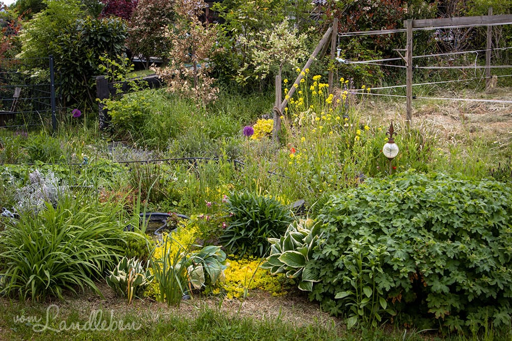 Mittelgarten im Mai 2020