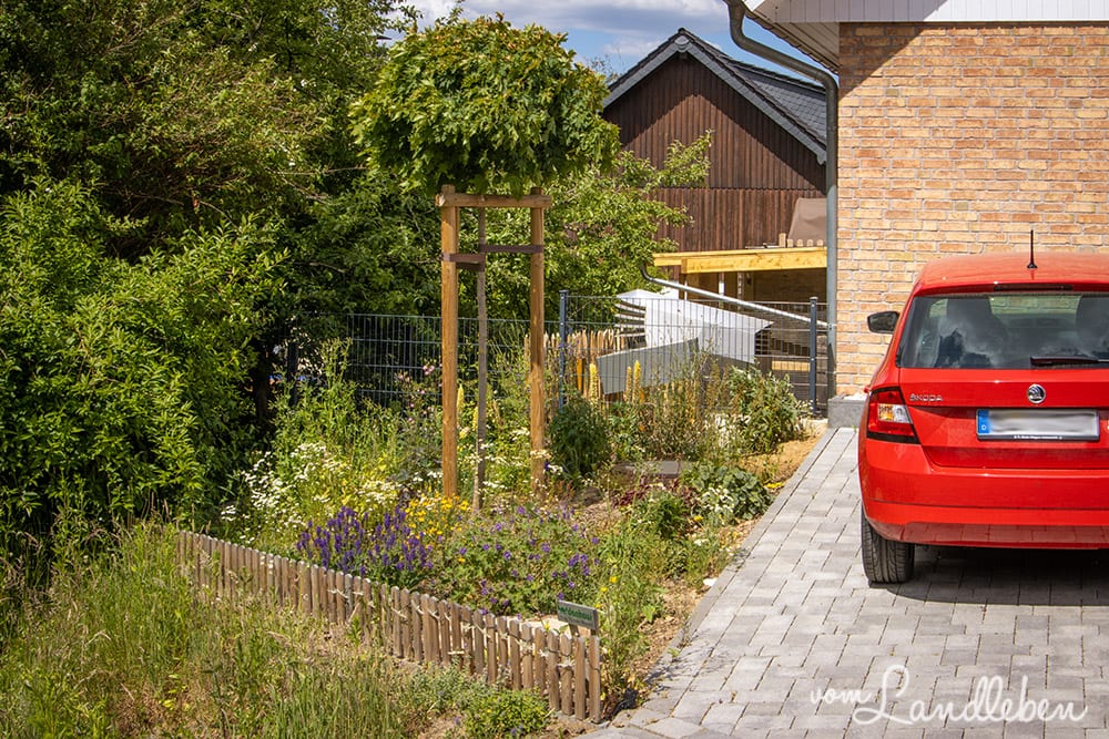 Vorgarten im Mai 2020