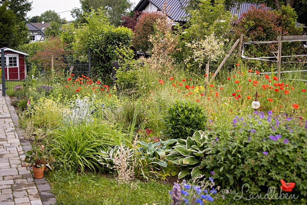 Mittelgarten im Juni 2020
