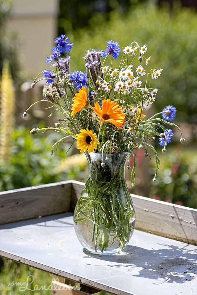 Blumenstrauß aus dem Garten