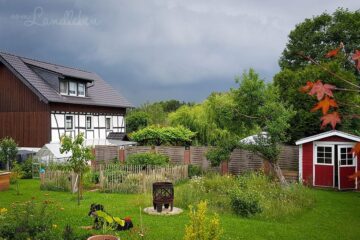 Garten im Juni 2020