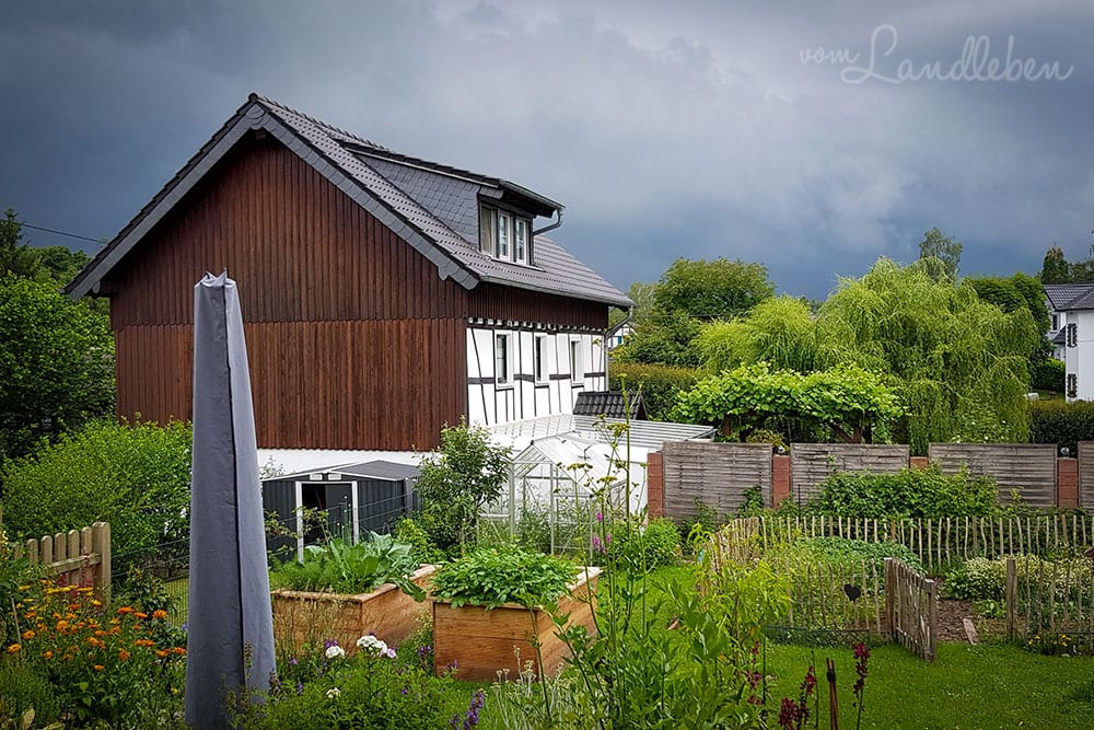 Hinten im Garten - Juni 2020