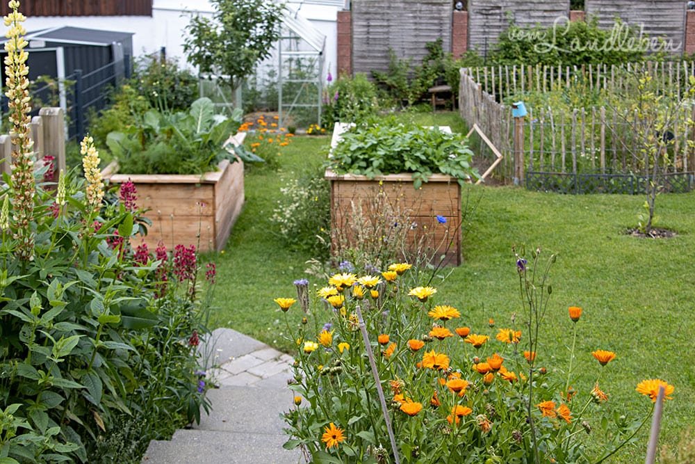 Hinten im Garten - Juni 2020