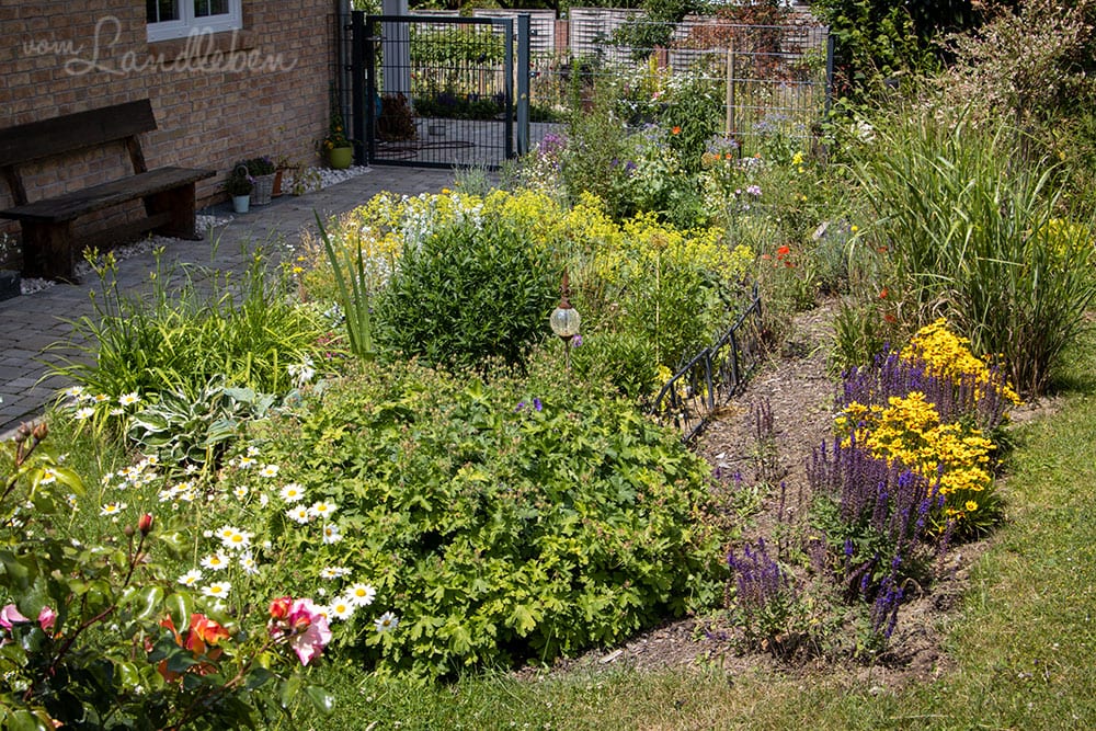 Mittelgarten im Juni 2020