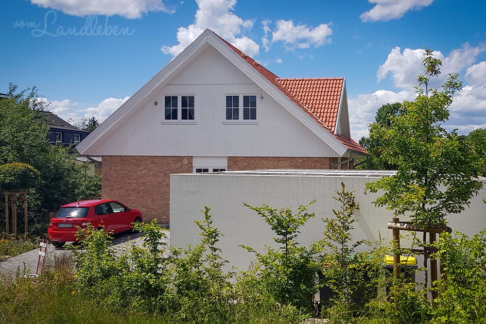 Vorgarten im Juni 2020