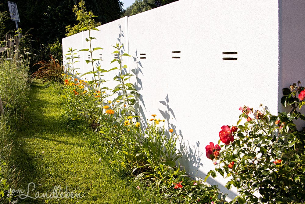 Mittelgarten im Juli 2020