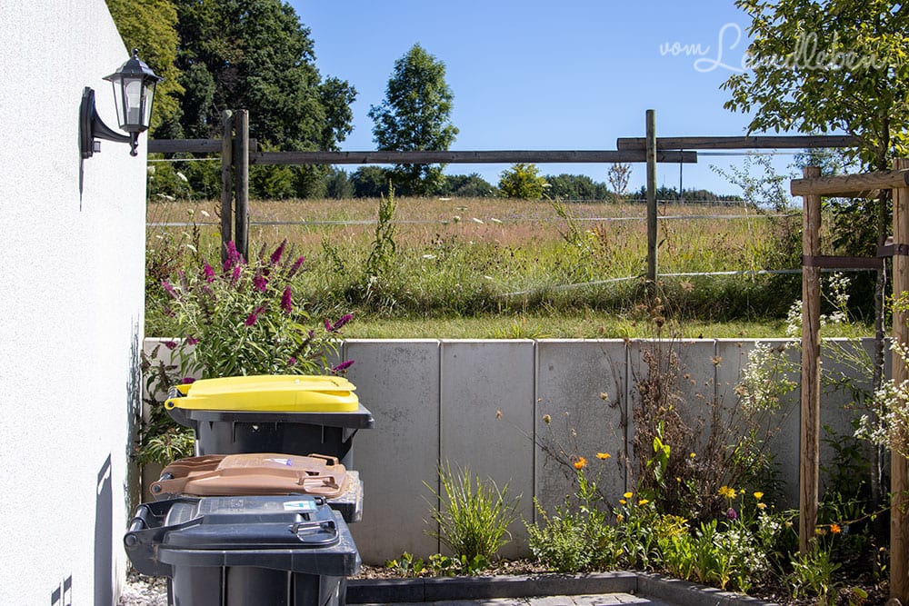 Vorgarten im Juli 2020