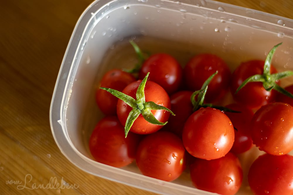 Tomatenernte